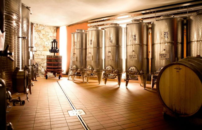 L'Uva e le stelle - Foto 51