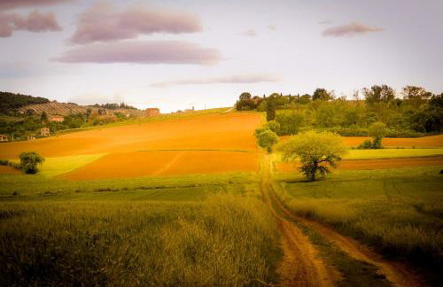 Vacanze Sant Andrea - Foto 65