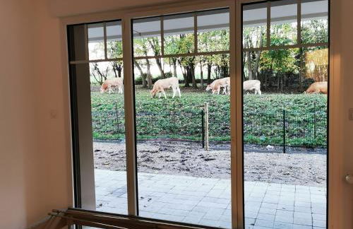 Le Temps d'une Escale à St Wary - Foto 27