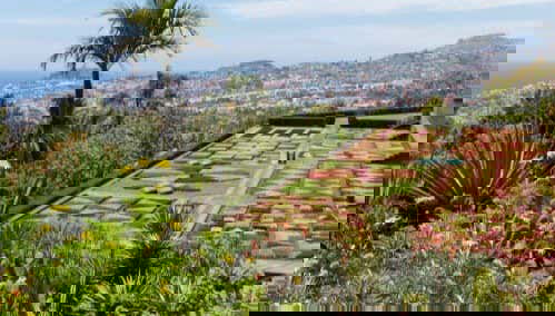 Jardin Botanique de Funchal