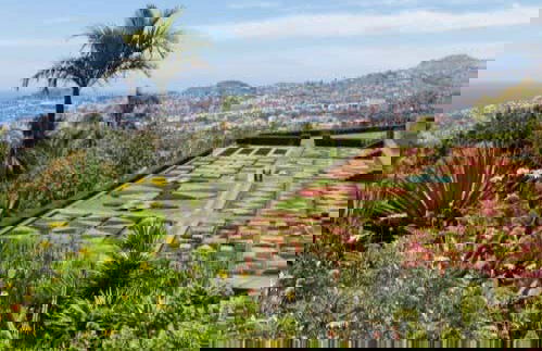 Funchal Hop-On Hop-Off Bus Tour - Photo 5