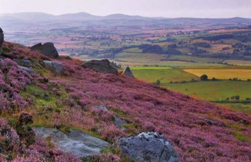 Delightful cosy shepherd's hut at Victorian Station - Foto 25