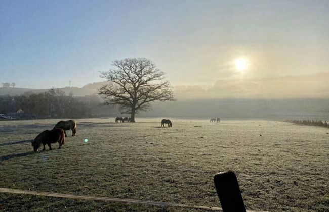 Holiday Home Eifelise - Foto 14