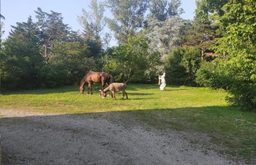 Bienvenue à la ferme - Foto 38