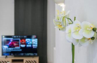 Loft Art Déco Terrasse Verrière Clim Lit king size - Foto 28