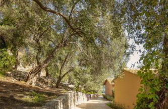 Apolis Villas & Suites Resort - Photo 94