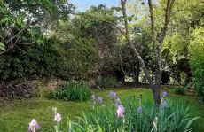 Mazet Chantilly, 3 étoiles Gîtes de France, Alès - Foto 13