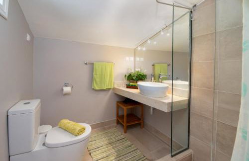 Bougainvillea - Foto 37