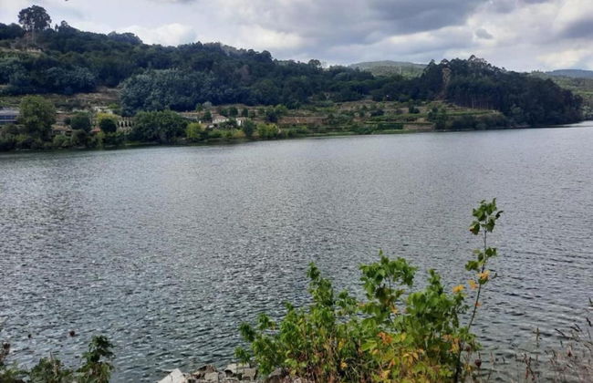 Forest Hideaway Near Douro Valley - Foto 28