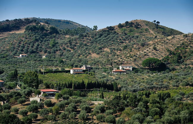 La Collina degli Ulivi - Casa Limoni 2 - Foto 16