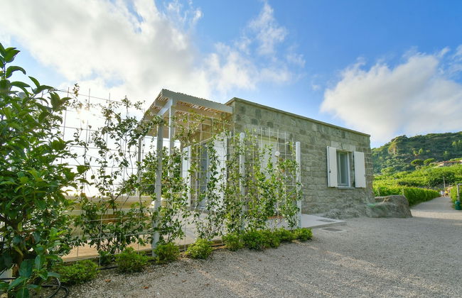 Tenuta C'est la Vie - Foto 34