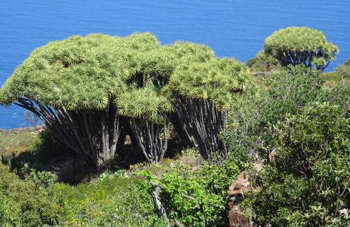 Casa Fagundo - Foto 21
