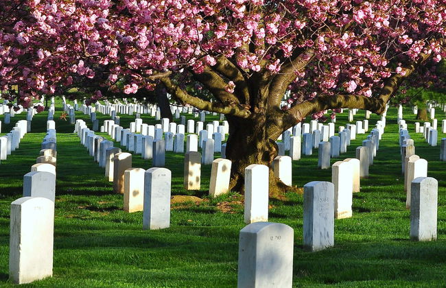 Arlington Cemetery & DC War Memorials Tour - Photo 1