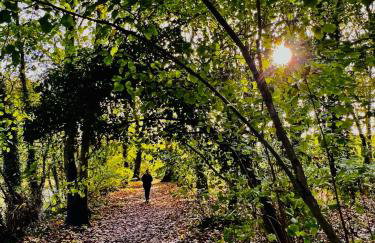 Dapps Hill Haven - between Bristol and Bath, both 9 mins by train! - Foto 57