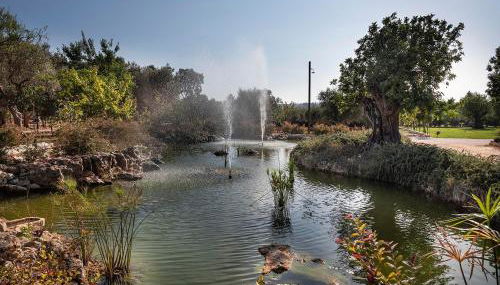 Trulli Uliveto Acquafonda - Foto 5