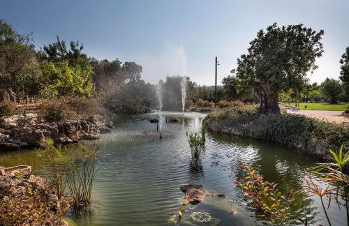 Trulli Uliveto Acquafonda - Foto 5
