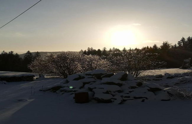 Charming Apartment, Harz Region - Foto 29