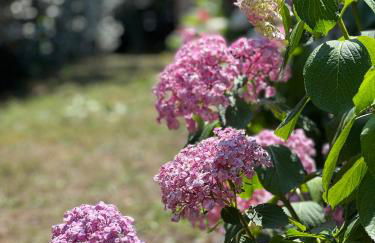 Location villa entre lac et océan avec son spa de nage - Foto 4