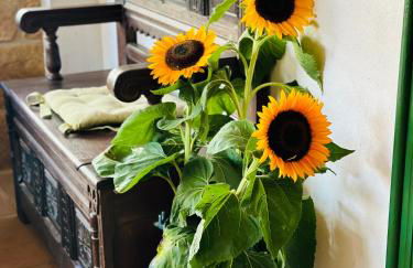 Cosy historic brewery with beautiful outdoor space - Foto 59