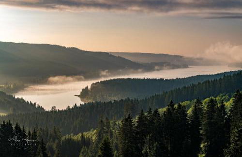 Fewo Schwarzwaldblick, 3 Schlafzimmer Todtnau-Muggenbrunn, Liftverbund Feldberg - Foto 3