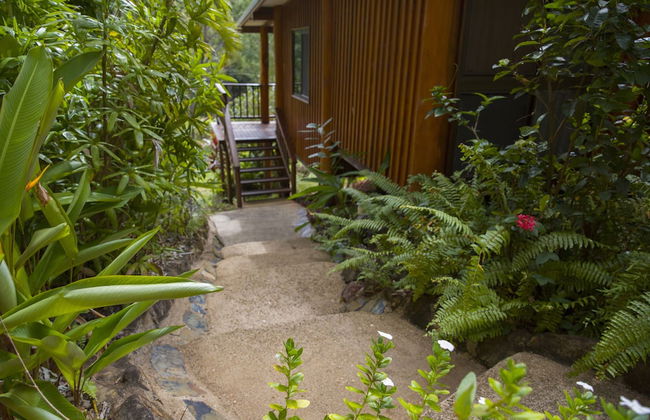 Milkwood Lodge - Photo 11