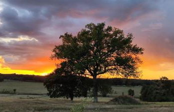 Domaine équestre de la Chênaie - Foto 34