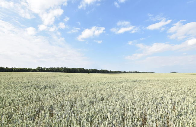 Apartment in Kropelin With Terrace - Foto 18