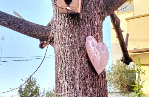 BHH Appartamento Signorini Bologna -wwwbolognaholidayhomecom- Parcheggio Riservato e Giardino - Holiday House Bologna Garden Parking - Foto 68