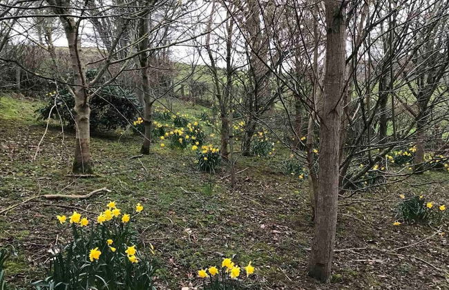 Y Twlc Mochyn - Ecofriendly - Farm Animals - Foto 26