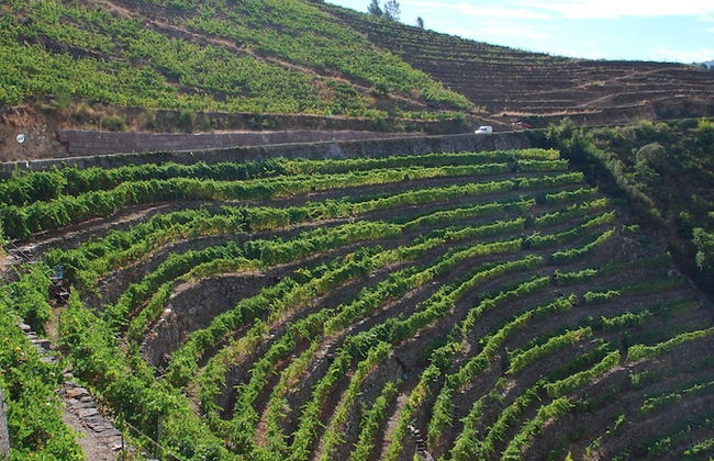 A Casa da Eira - Foto 67