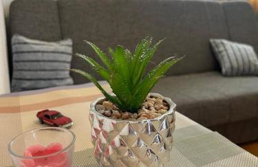 Apartmani Grgić - Foto 17