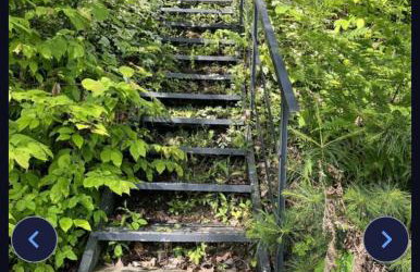 Camp Lake Bear - Foto 2