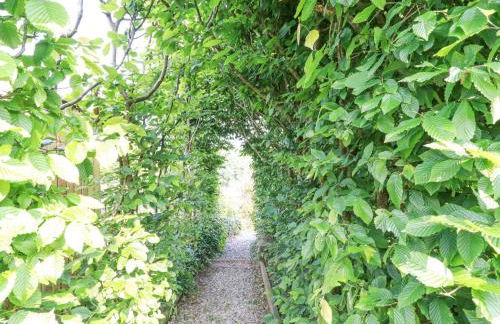 Trenant View - Foto 33