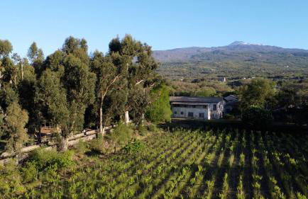 Parco Statella - Foto 14