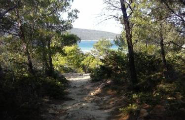 Apartments Jug - Foto 55