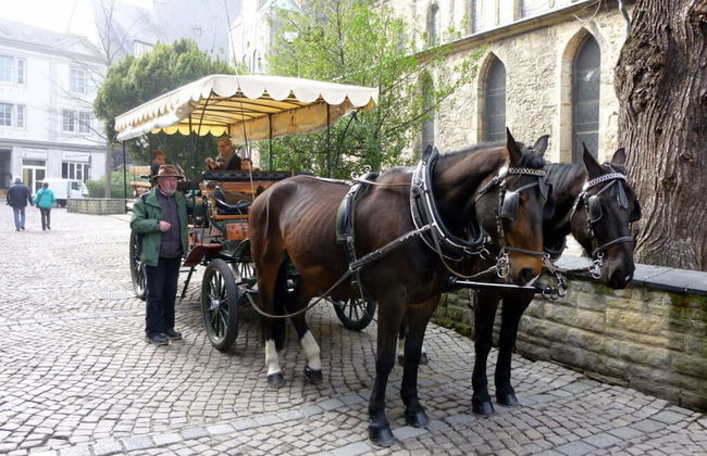 Holiday Apartment Weitblick at the spa Park - Foto 17