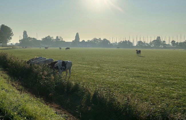 Peaceful Villa on the Water in Stavoren - Foto 37