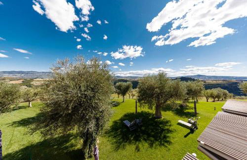 Pecora Vecchia - ColleMassari Hospitality - Foto 13