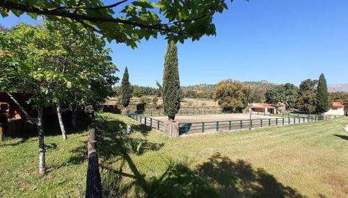 Casa da Vinha - Foto 5, Garden