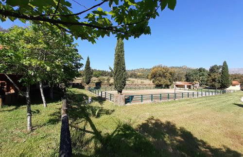 Casa da Vinha - Foto 5