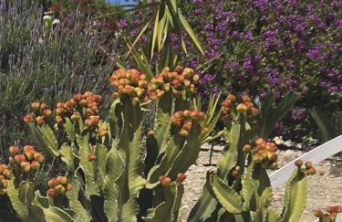 Un petit coin de paradis à Casa Bébé - Photo 56