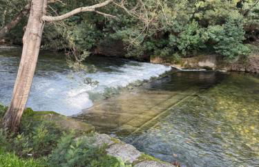 Cabana da Raposa - Foto 8