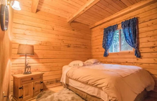 Joy's Kenai River Cabins - Foto 13