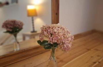 Pateo house - Photo 8