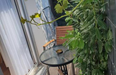 Apartmani Kameno Sidro - Foto 59