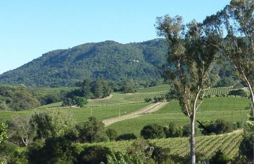 Casa Molino - A private escape with Vineyard views - Foto 10