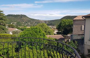 Villa Mas Fa Susa 3 étoiles avec piscine - Foto 15