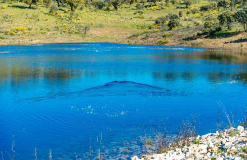 Moradia gémea 2 em Herdade Santa Marta - Foto 19