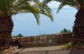 Bellissima Cervo - Foto 16