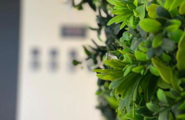 Suite du Spa 4 - Parking Privé Gratuit - Foto 24